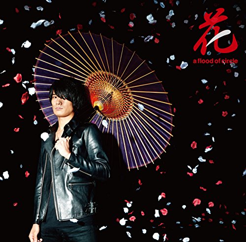 佐々木亮介（a flood of circle）、弾き語り野外ワンマン